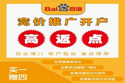 百度竞价赚钱的五大策略及成功案例解读